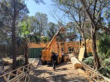IMG_20260327_115522700_HDR