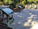 IMG_20241025_123657334_HDR