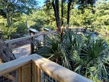IMG_20241025_123740620_HDR