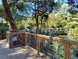 IMG_20241025_123817385_HDR