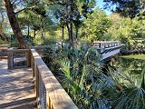 IMG_20241025_123830924_HDR