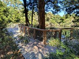 IMG_20241025_124040877_HDR