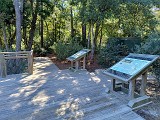 IMG_20241025_124139423_HDR